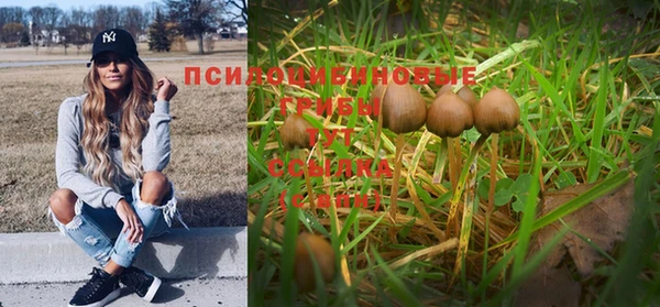 прущие крисы Бронницы