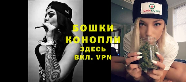 винт Бородино