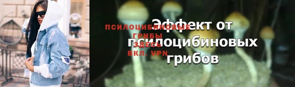 винт Бородино
