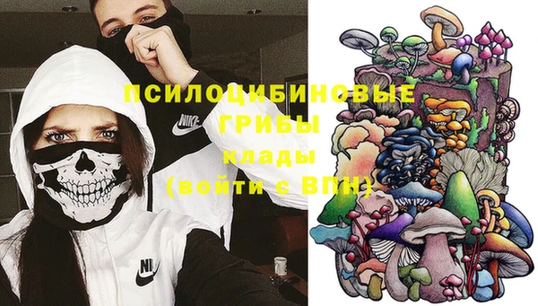 прущие крисы Бронницы