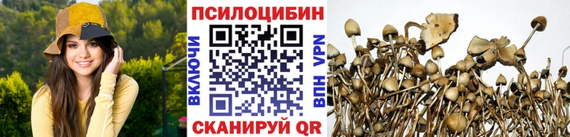 Псилоцибиновые грибы ЛСД  Новосокольники 